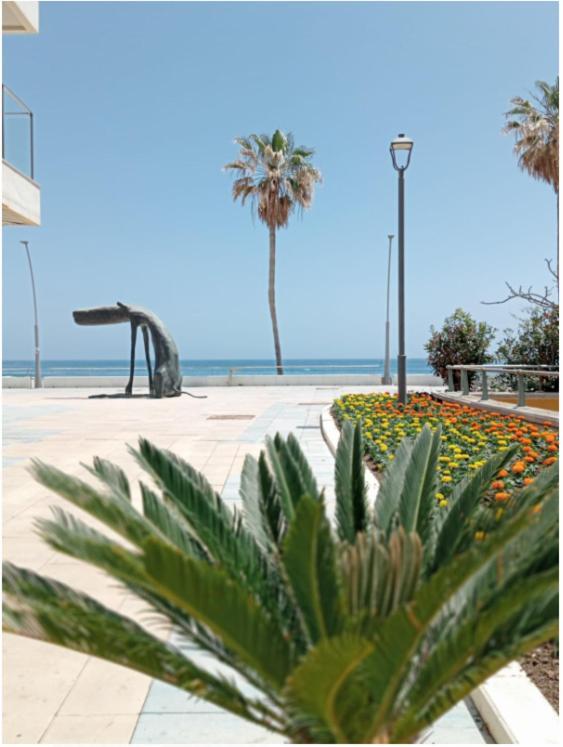 Beach Side Apartment -เอสเตโปนา ภายนอก รูปภาพ